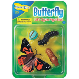Levenscyclus vlinder