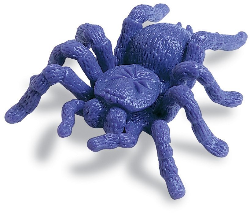 Learning resources backyard bug counters (kriebeldieren)