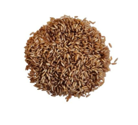 Speelrijst bruin