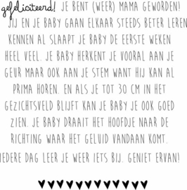 Baby Invulboek Linnen