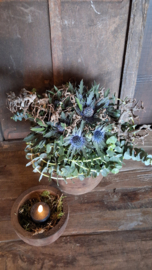 Set houten distel potten  27  maart