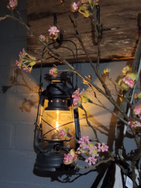 LED OLIELAMP ZWART