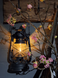 LED OLIELAMP ZWART