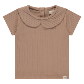 Tiny | T-shirtje met kraagje | Coral