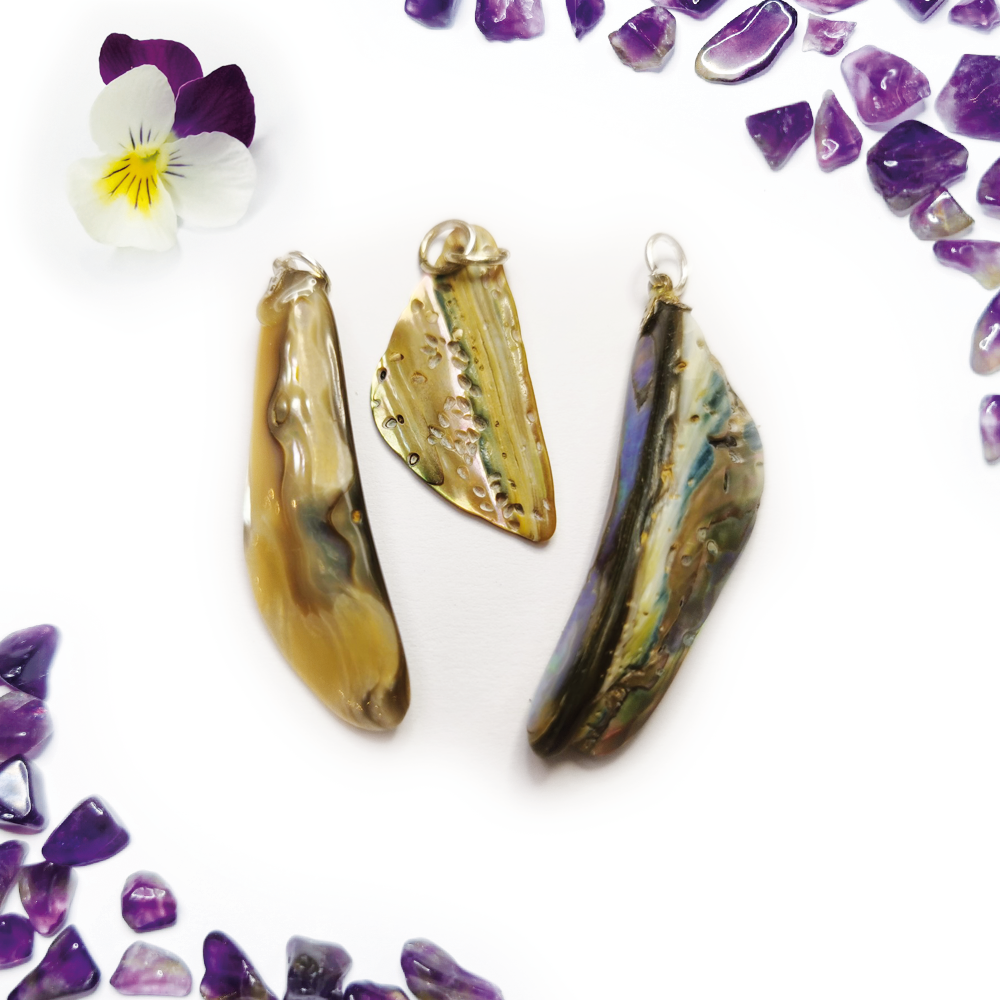 Paua (Abalone) hanger