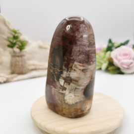 Versteend Hout sculptuur