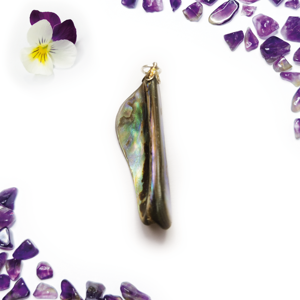 Paua (Abalone) hanger