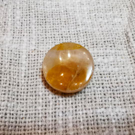 Golden Healer Emu Egg