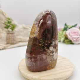 Versteend Hout sculptuur