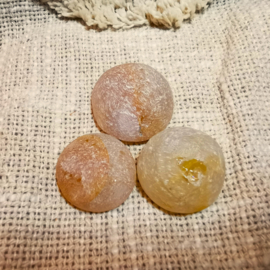 Golden Healer Emu Egg