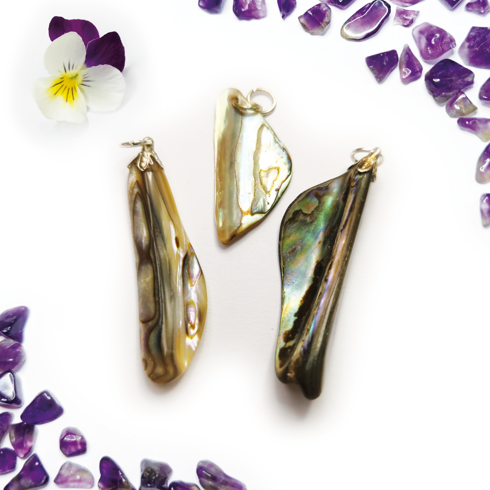 Paua (Abalone) hanger