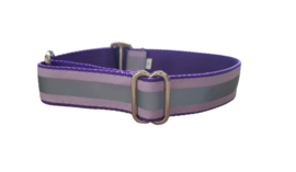 Martingale halsband paars met reflecterend lint,  2.5cm breed