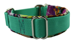 Martingale halsband 'Graffiti' mint