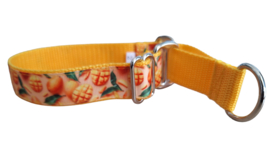 Martingale halsband mango