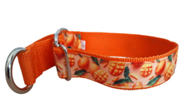Martingale halsband mango