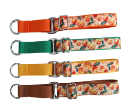 Martingale halsbanden 2.5cm