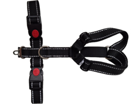 Reflecterend Safety-first tuigje