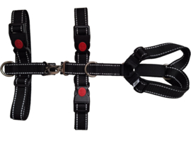 Reflecterend Safety-first tuigje