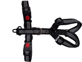 Reflecterend Safety-first tuigje
