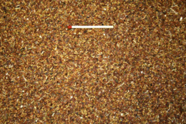 Blattner Clover Seed 1kg (Kleesamen)