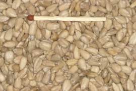 Blattner Sunflower Seeds Peeled 1kg (Sonnenblumen geschält)