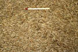 Blattner grass seeds