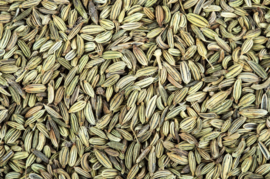 Blattner Fennel Seed 1kg (Fenchelsamen)