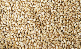 Blattner Wheat Extra 1kg (Weizen extra)