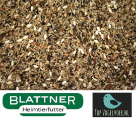 Blattner Goudvink I 5kg (Gimpel I)