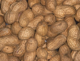 Blattner Peanut Unpeeled 1kg (Erdnüsse i. d. Schale)