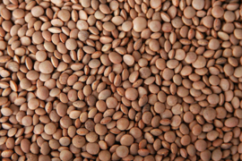 Blattner Red Lentils 1kg (Linsen rot)