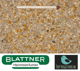 Blattner Waxbill Finches Special 15kg (Astrilden-Spezial)
