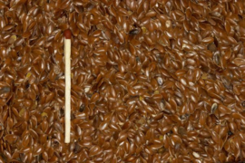 Blattner Brown Flax Seeds 5kg (Leinsamen braun)