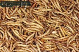 Gedroogde meelwormen 2,5kg (Mehlwürmer getrocknet)