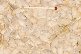 Blattner Graines de Citrouille Blanches 1kg (Kürbiskerne weiß)
