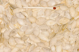 Blattner Pumpkin Seed White 1kg (Kürbiskerne weiß)