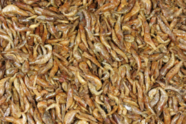 Blattner Dried Freshwater Prawns 250gram (Süßwasser Shrimps - Garnelen getrocknet)