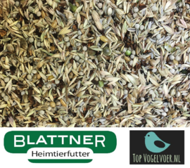 Blattner Sharif Miscela di allevamento Cardinalini Major 5kg (Sharif Breedmix Major)