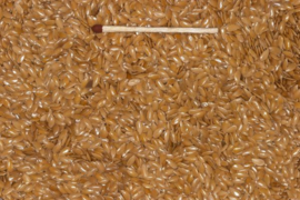 Blattner Yellow Flax Seed 1kg (Leinsamen hellschalig - Goldlein)