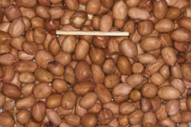 Blattner Shelled Peanut 1kg (Erdnüsse geschält ganz)