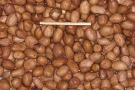 Blattner Pinda gepeld 1kg (Erdnüsse geschält ganz)