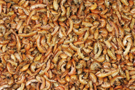 Blattner Dried Gammarus Flake Lobsters 250gram (Gammarus - Bachflohkrebse getrocknet)
