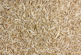 Blattner Miscela Semi di Erba Standard 1kg (Grassamenmischung Standard)