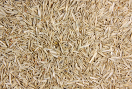 Blattner Grass Seeds Mix Standard 10kg (Grassamenmischung Standard)