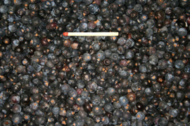 Blattner Dried Juniper Berries 1kg (Wacholderbeeren getrocknet )