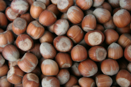 Blattner Hazelnuts 1kg (Haselnüsse)