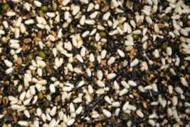 Blattner Keimfutter - Mosaikkanarien (2,5 kg)