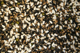 Blattner Germinating Seeds Mosaic Canary 15kg (Keimfutter - Mosaikkanarien)