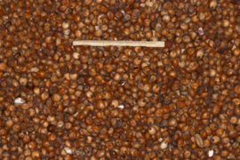 Blattner Milokorn rot (1 kg)