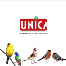 Unica - Rainbow red (150 g)